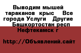 Выводим мышей ,тараканов, крыс. - Все города Услуги » Другие   . Башкортостан респ.,Нефтекамск г.